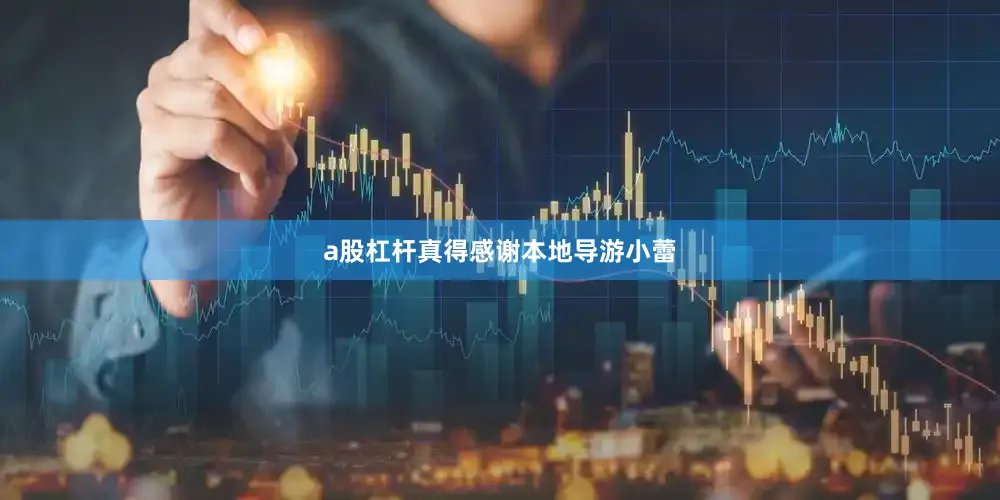 a股杠杆真得感谢本地导游小蕾
