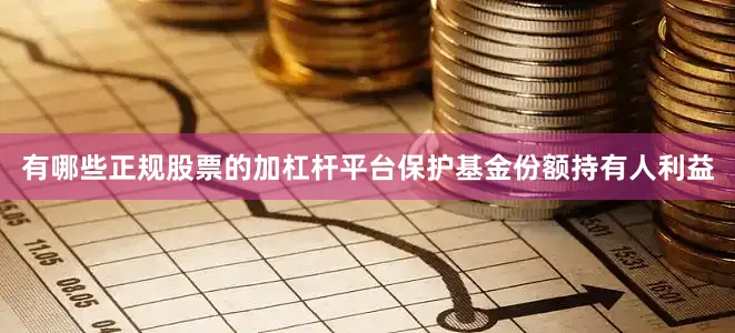 有哪些正规股票的加杠杆平台保护基金份额持有人利益